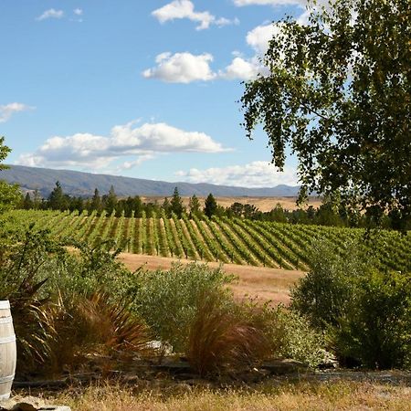 Grey Ridge Vineyard Experience Bed & Breakfast Alexandra Luaran gambar