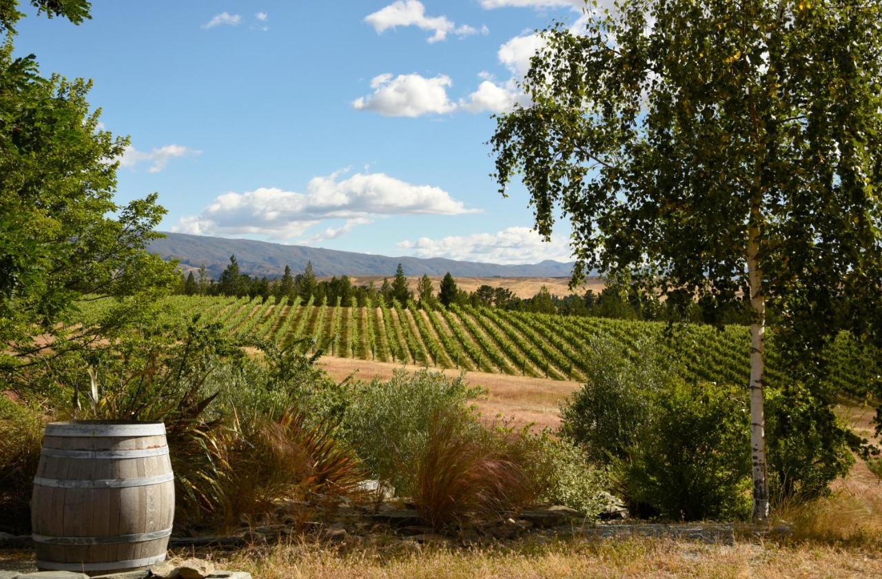 Grey Ridge Vineyard Experience Bed & Breakfast Alexandra Luaran gambar