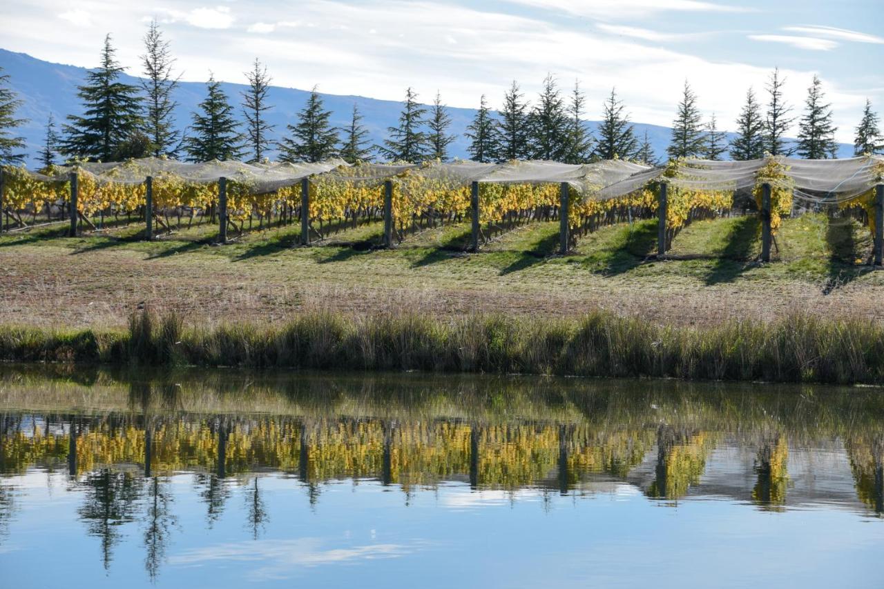 Grey Ridge Vineyard Experience Bed & Breakfast Alexandra Luaran gambar