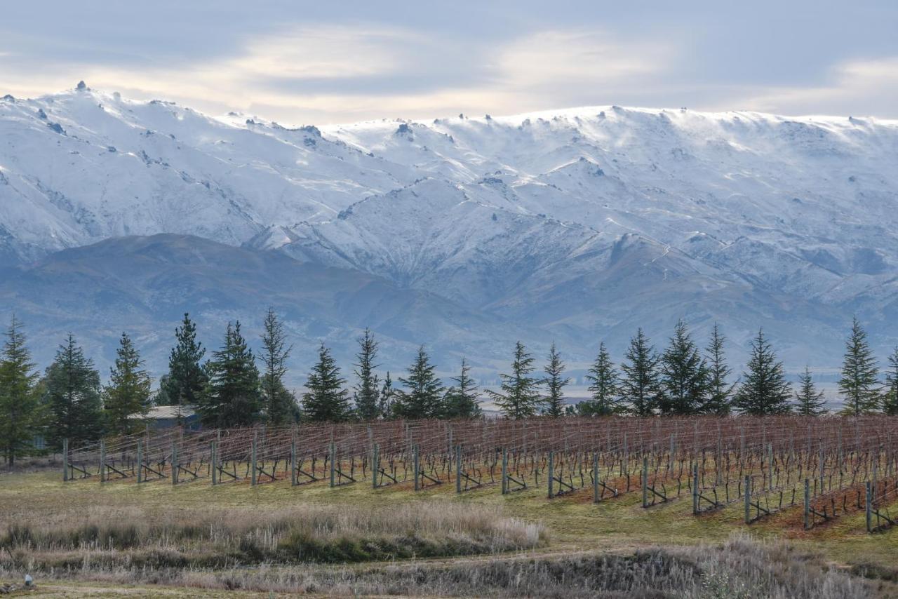 Grey Ridge Vineyard Experience Bed & Breakfast Alexandra Luaran gambar