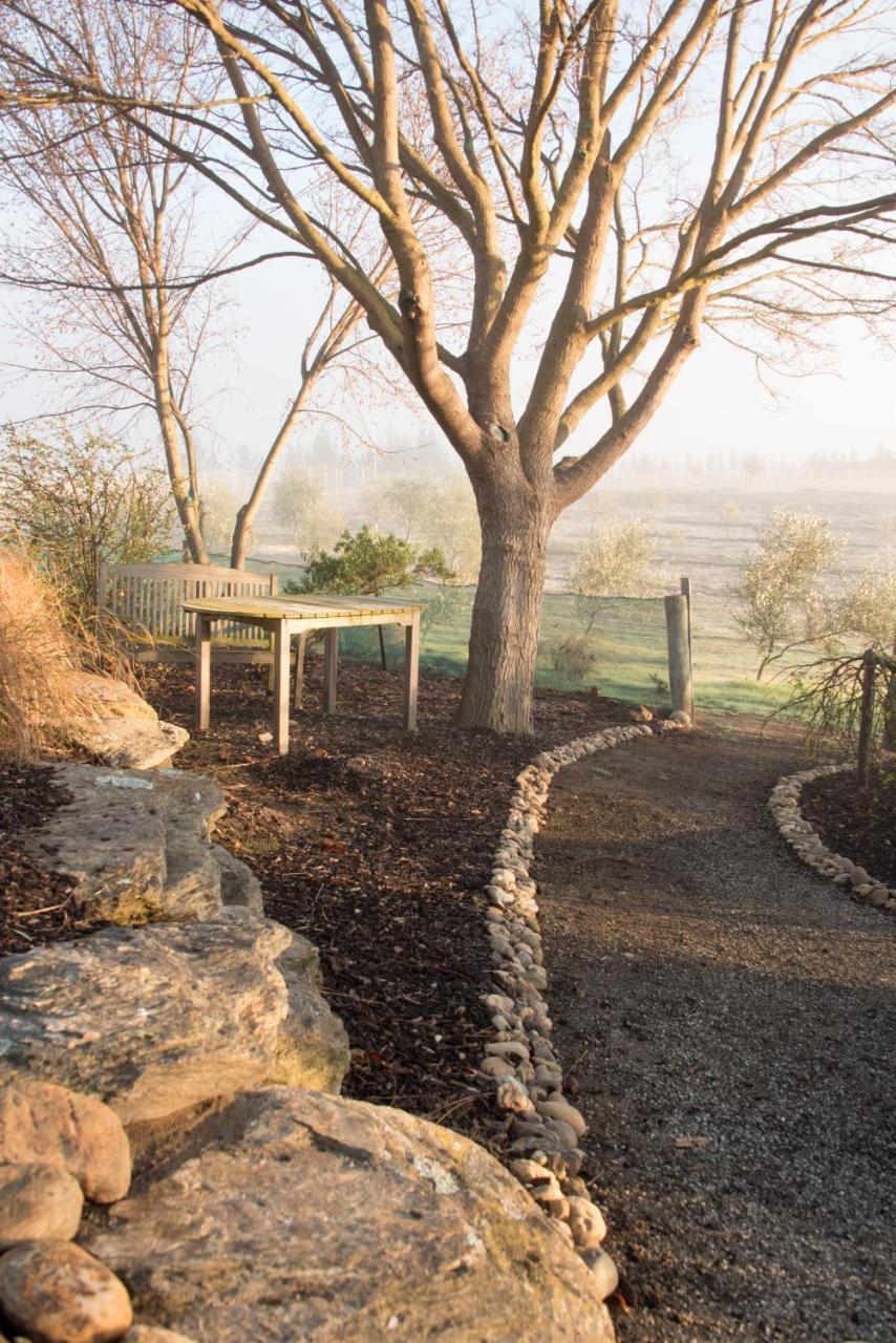Grey Ridge Vineyard Experience Bed & Breakfast Alexandra Luaran gambar