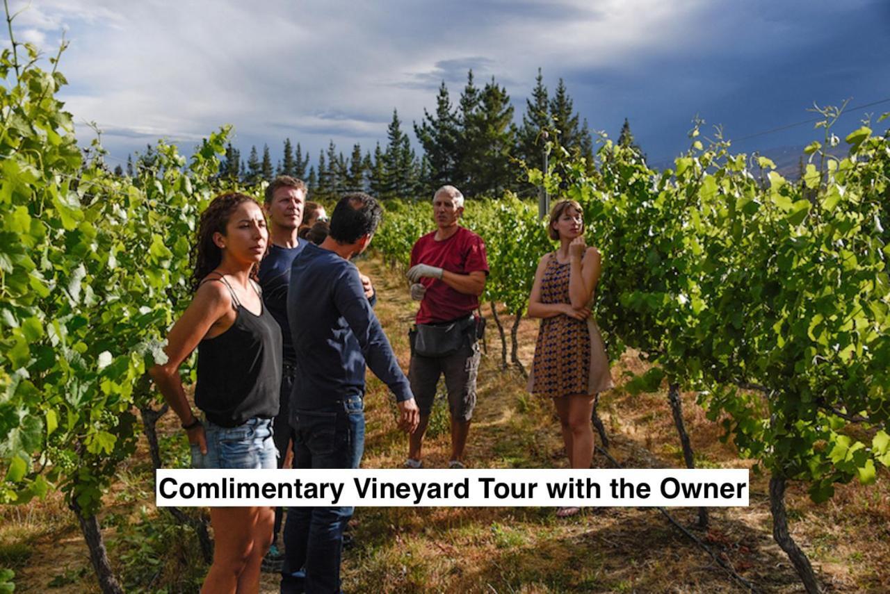 Grey Ridge Vineyard Experience Bed & Breakfast Alexandra Luaran gambar